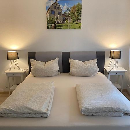 Ferienwohnung Stiegel Ingelheim am Rhein Exterior foto